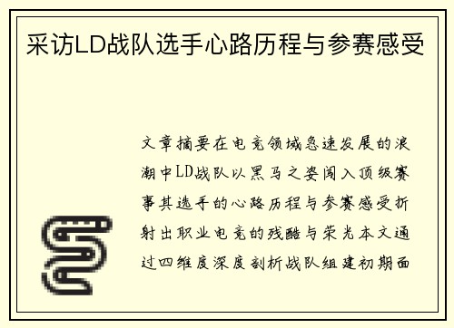 采访LD战队选手心路历程与参赛感受
